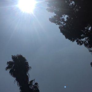 Meet your Posher, Sofia